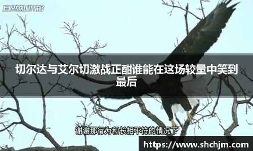 米兰体育平台